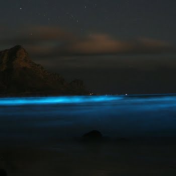 A beginner’s guide to: Starlight kayaking on Ireland’s glow-in-the-dark lake