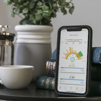 This clever app tracks your home energy usage
