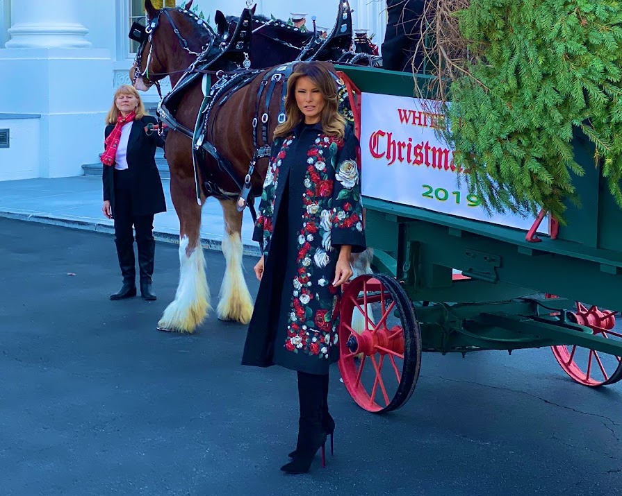 Melania Trump welcomes the official White House Christmas tree
