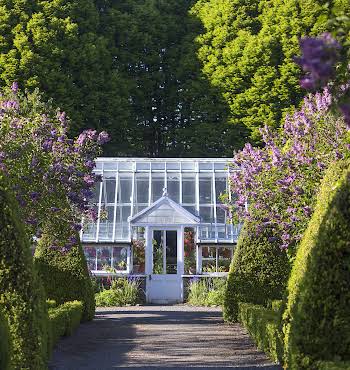 Tina Claffey Birr Castle Gardens to Visit