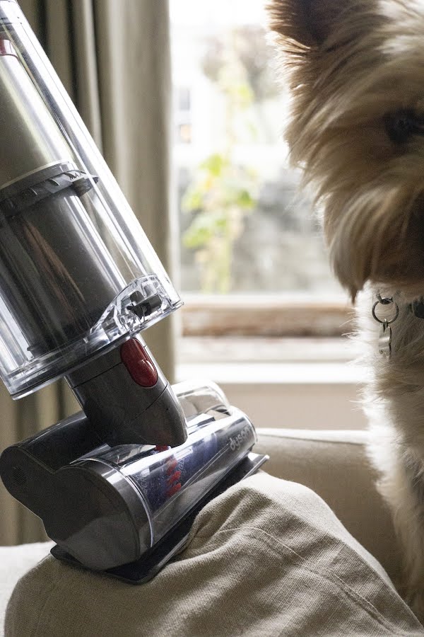 This pet vacuum package will rescue your own home from pesky, unfastened hairs