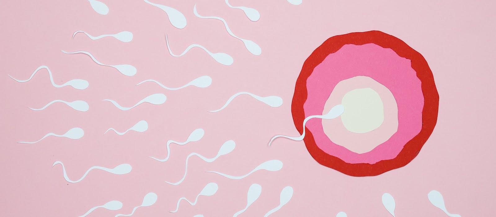 You’re not alone: IMAGE.ie readers speak out on their own fertility journeys