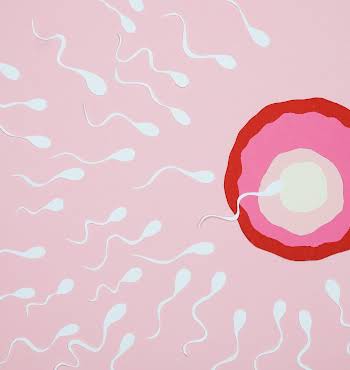 illustration of sperm swimming toward an egg