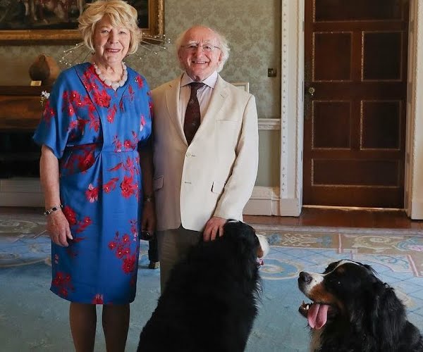 Happy news: President Michael D Higgins has a new puppy