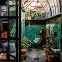 A jewel-toned greenhouse is the star of this Stoneybatter home