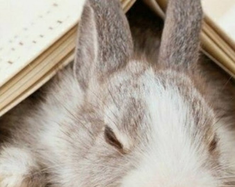 Reading List: Easter Holiday Page-Turners