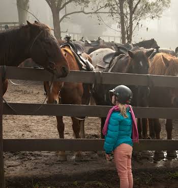 young girl looking at horses