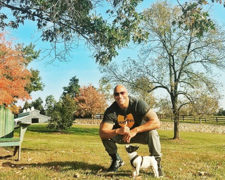 The Rock Donated Money To Save A Puppy With His Namesake