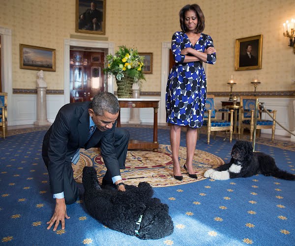 ‘We will miss Bo dearly’: Michelle Obama reminds us of the importance of our pets