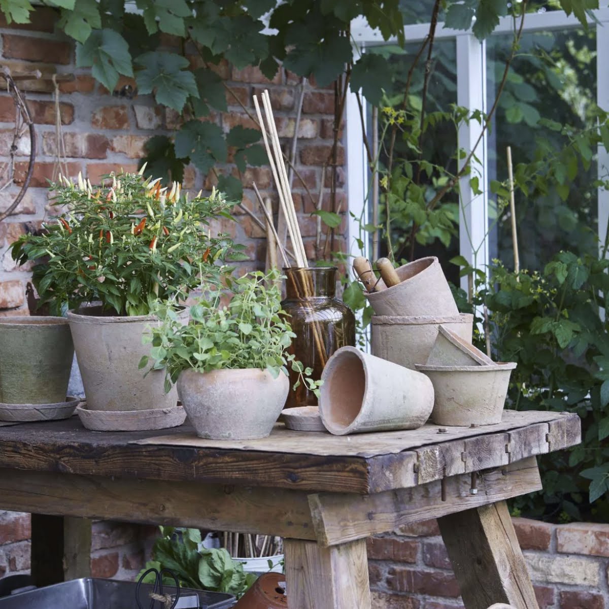 Aged terracotta pot with saucer, €19.50, Amber + Willow