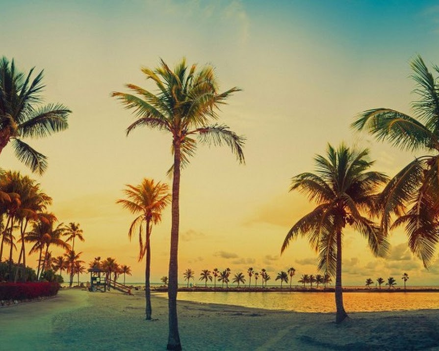 4 Things To Box Off On Your Next Trip To Miami