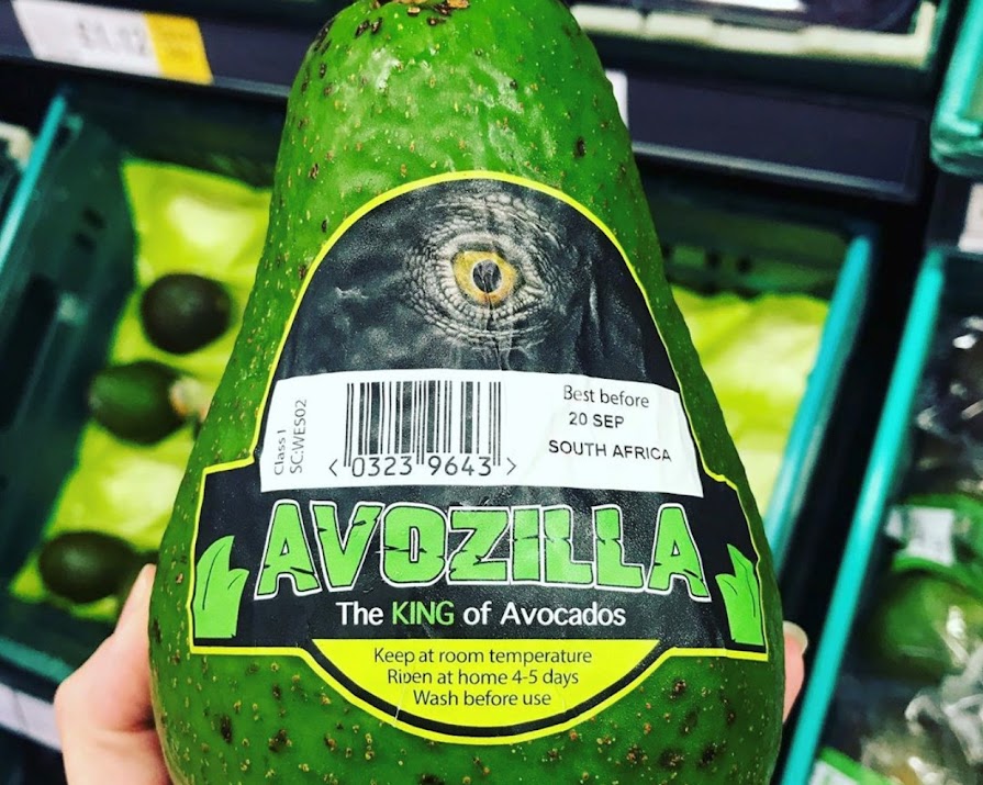 Rejoice, avomaniacs — the Avozilla is on sale again in Tesco