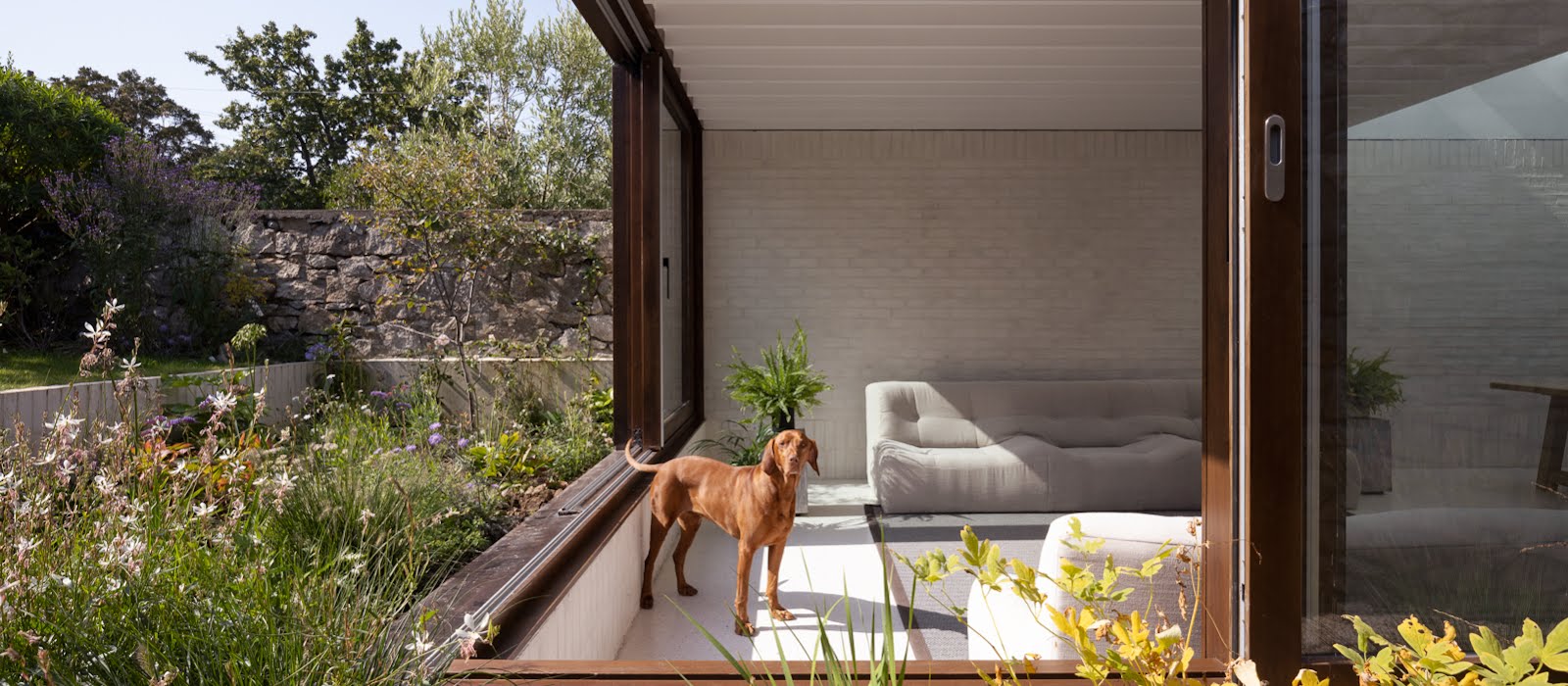 Blurring the indoor and outdoor was key to this Victorian terraced home in Glenageary