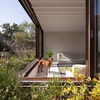 Blurring the indoor and outdoor was key to this Victorian terraced home in Glenageary