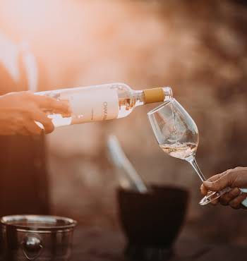 O'Briens Spanish wine sale