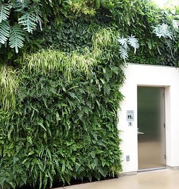 Living walls