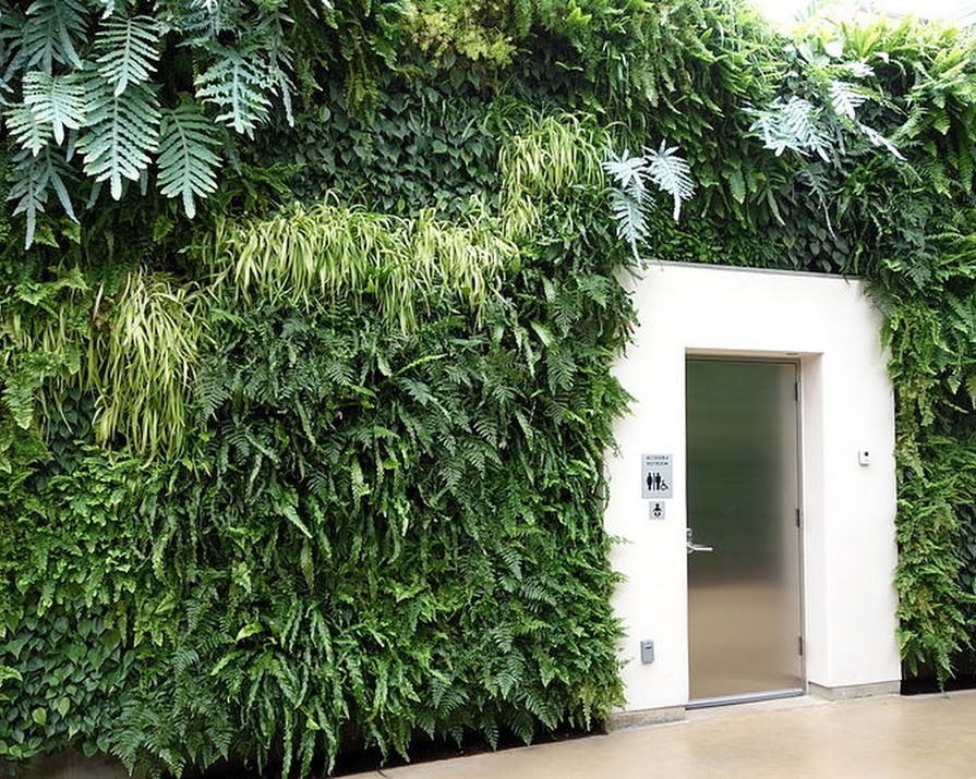 Parents call for ‘living walls’ to be installed in London schools