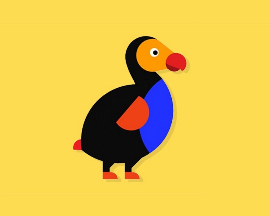 Why following ‘The Dodo’ is the best way to celebrate World Animal Day