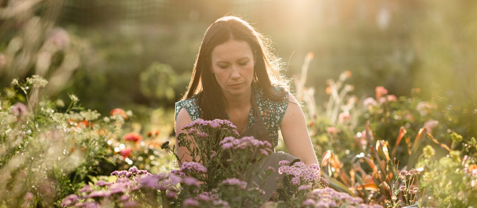 A Belfast flower farmer shares her guide to growing cut flowers at home