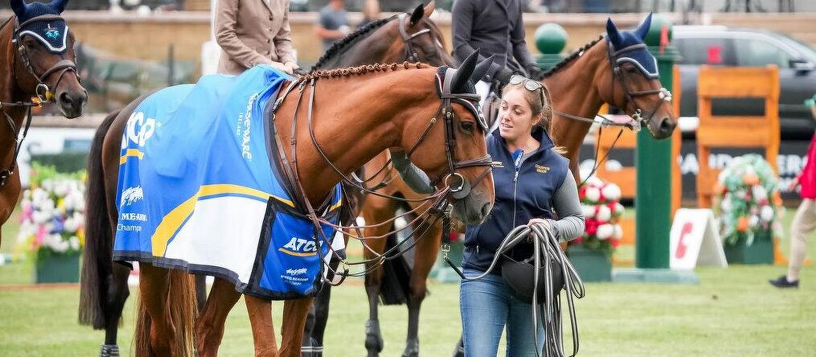 My Career: International show-jumping groom Shauna Murray