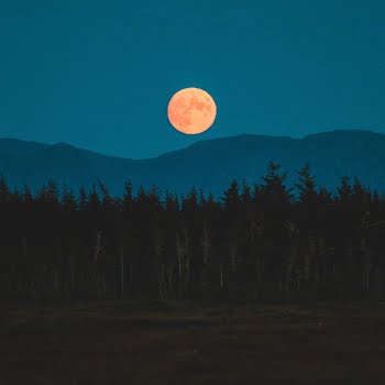 Wolf Moon: The first full moon of 2023 reaches peak illumination tonight