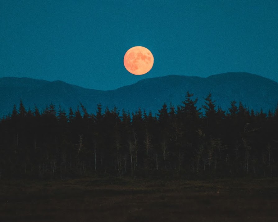 Wolf Moon: The first full moon of 2023 reaches peak illumination tonight