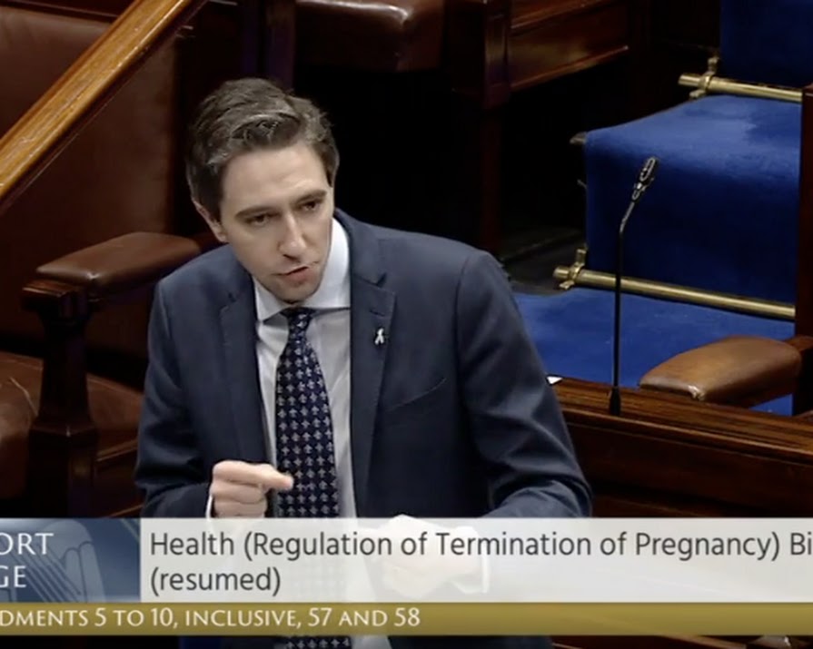 The Dáil passes landmark Bill to allow abortion services in Ireland