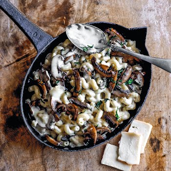 Posh comfort food: mushroom, tarragon and taleggio pasta bake