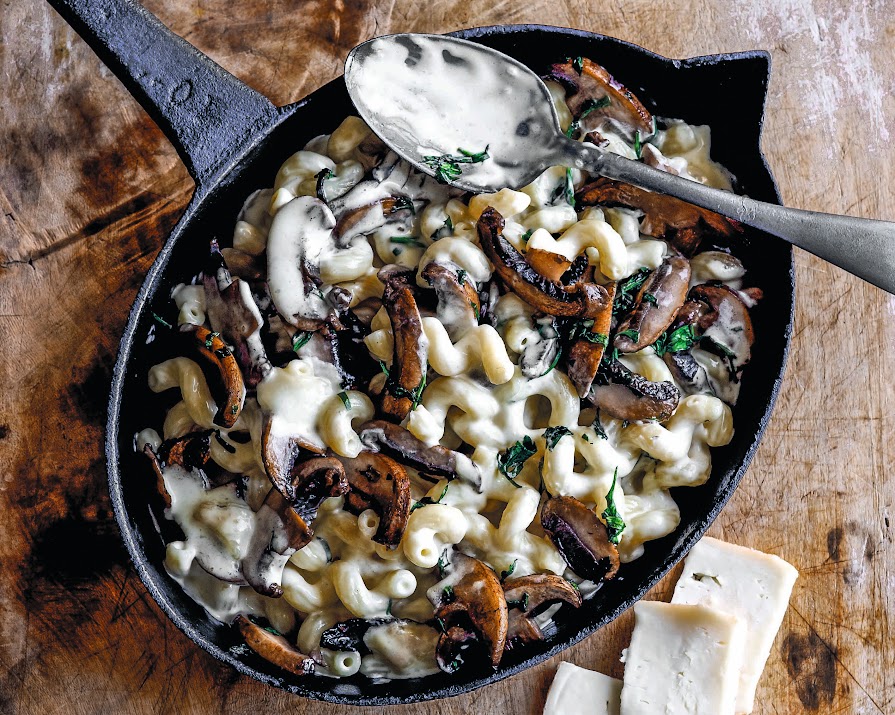 Supper Club: Mushroom, tarragon and taleggio pasta bake (or posh comfort food)