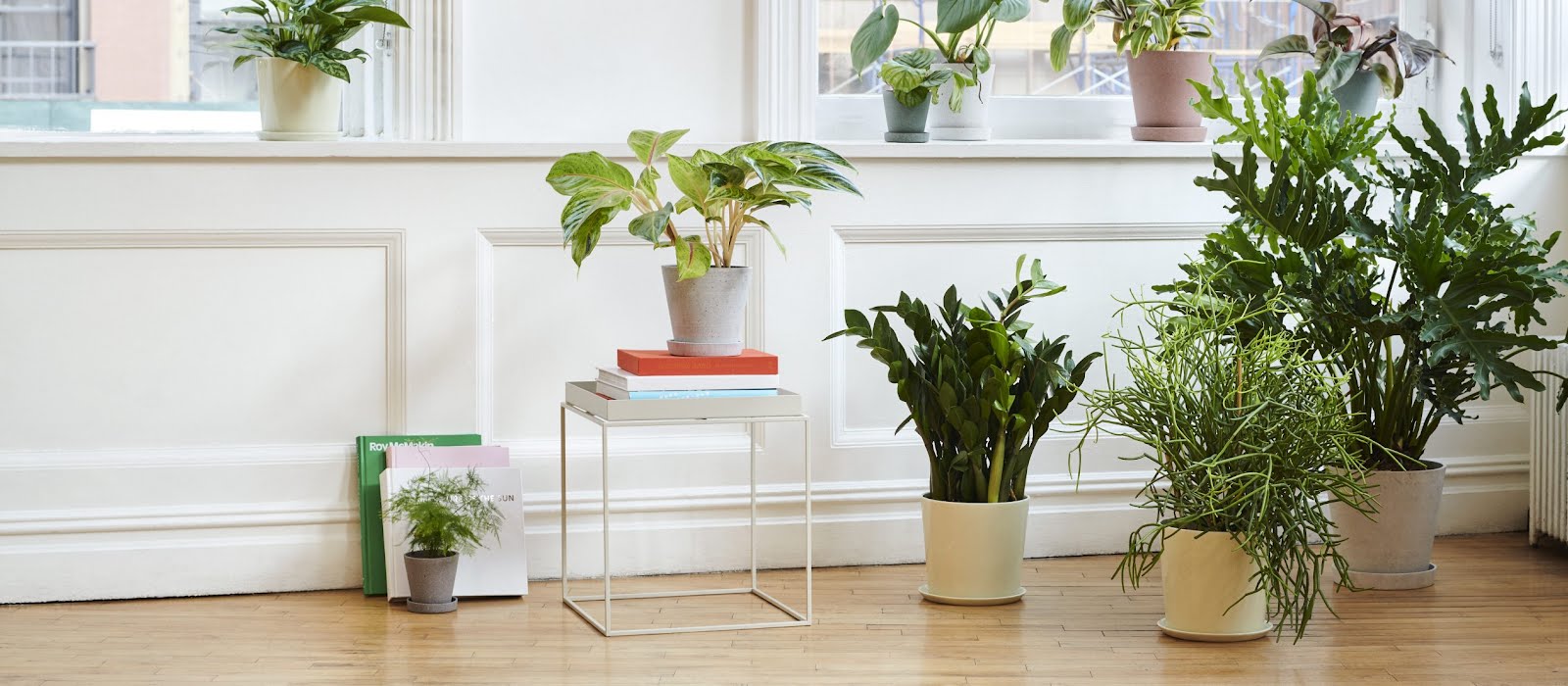 These gorgeous pots will zhuzh up even a slightly sad houseplant