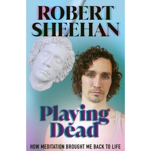 Playing Dead: How Meditation Brought Me Back to Life, by Robert Sheehan, €11.99