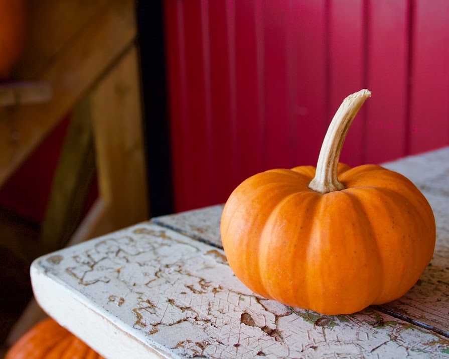 Pumpkin season: Beauty inspired by October’s giant, orange fruit