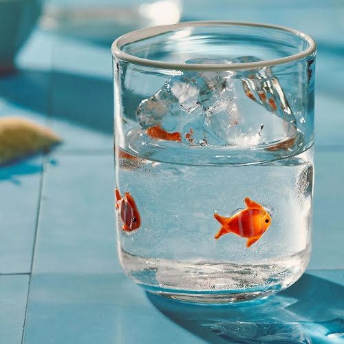 Anthropologie Clownfish Icon Juice Glass, €15