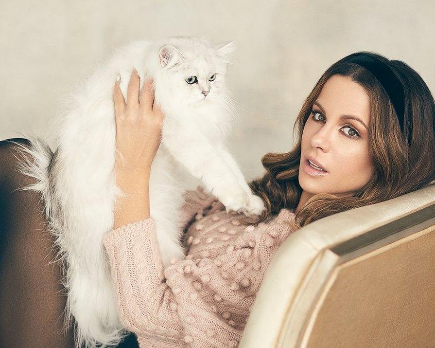 Kate Beckinsale’s adorable grumpy cats are all of us during lockdown