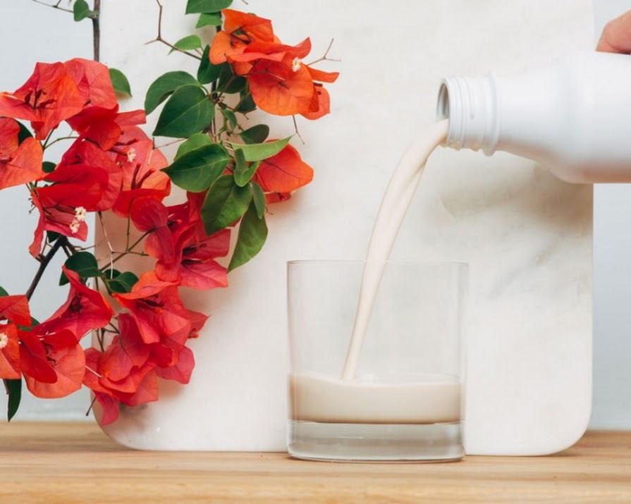 Life Without Food: Surviving On Soylent. But Why?