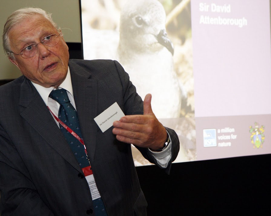 Sir David Attenborough warns of “extinction of the natural world” in UN speech