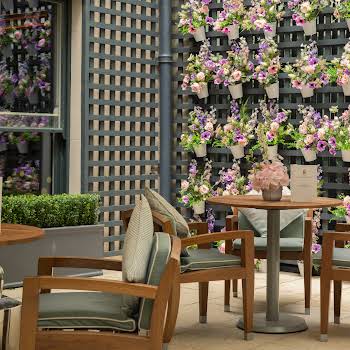 The Champagne Terrace at The Shelbourne ..