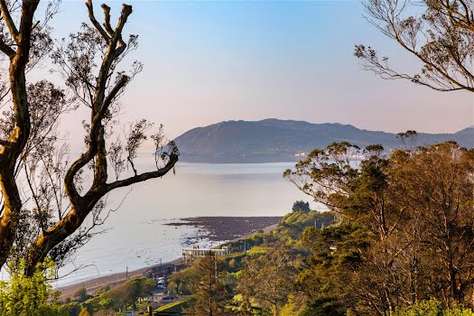 Killiney Victorian villa