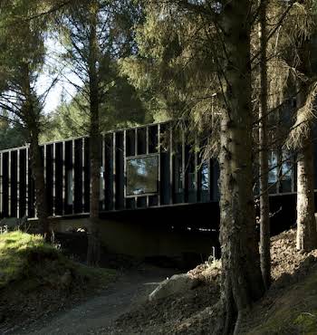 Wicklow tree house