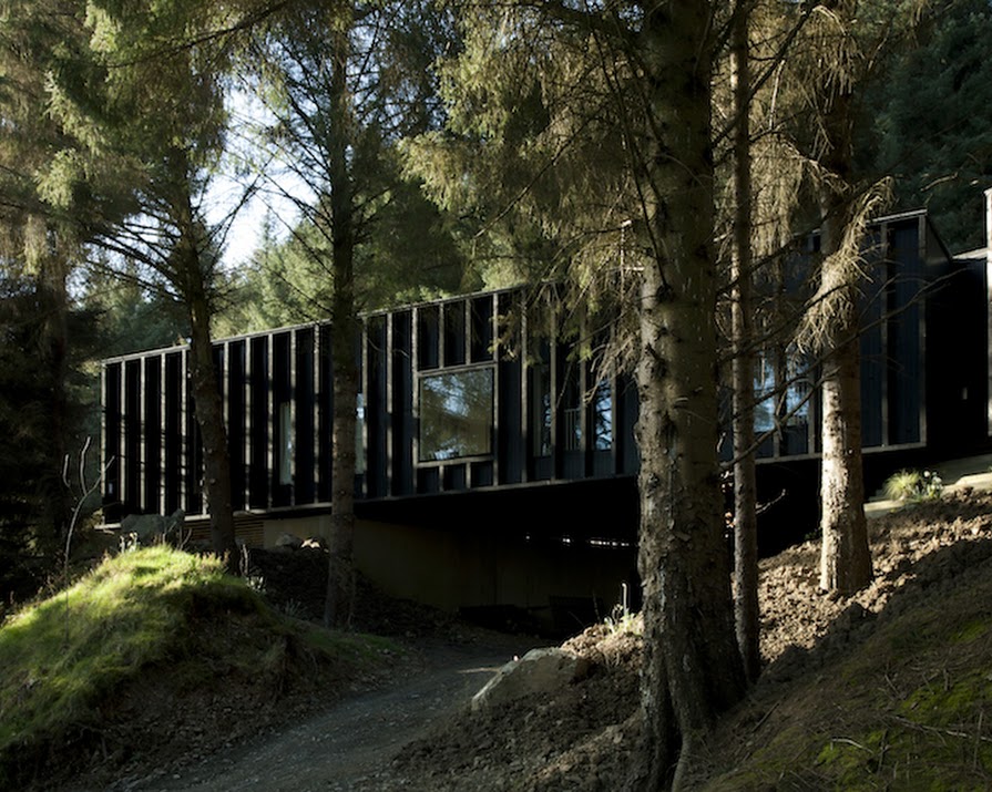 Inside a modern Wicklow tree house built for family life