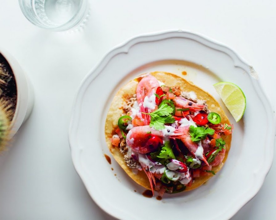 Supper Club: Pickled shrimp tostadas with salsa borracha