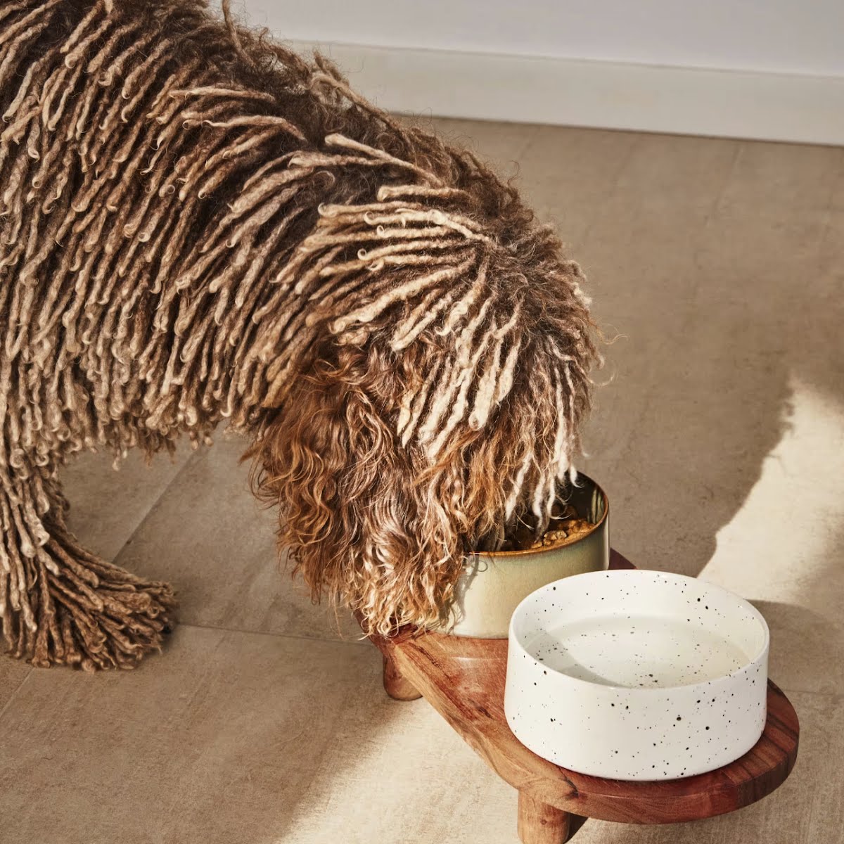 Dumbi set of 2 pet food and water bowls, €47.50, Kave Home