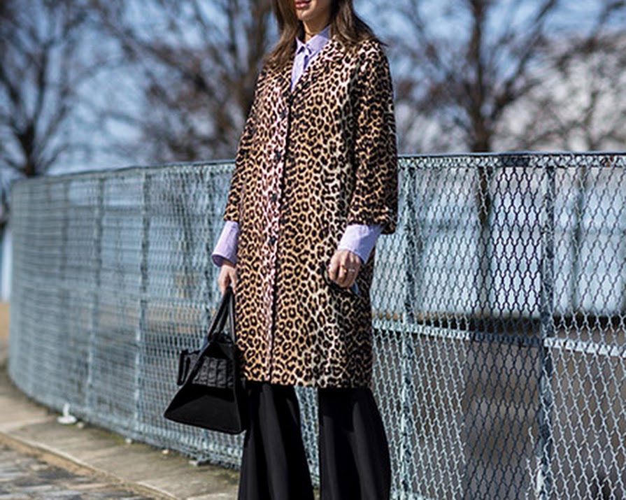 Try Adding A Sophisticated Edge To Animal Print