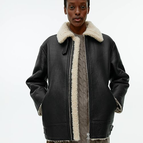 Arket Pile-Lined Leather Jacket, €899