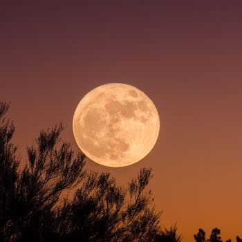 The first of two August supermoons will be visible across Ireland from tonight