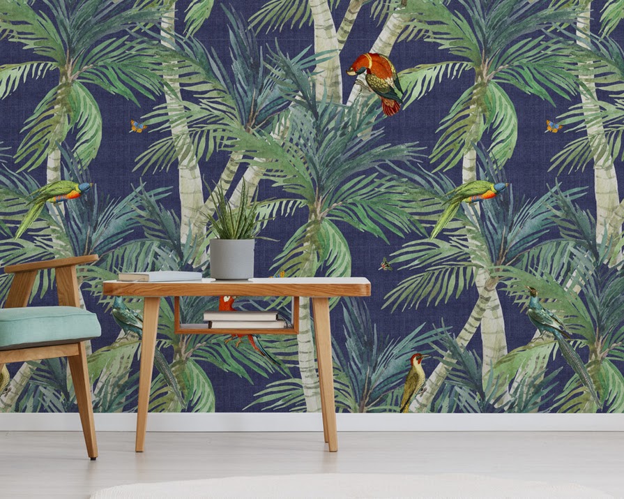 Six wild wallpapers that pack a punch