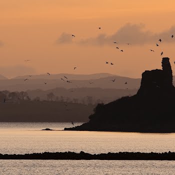 An anonymous buyer just bought 116 acres in Donegal to rewild it