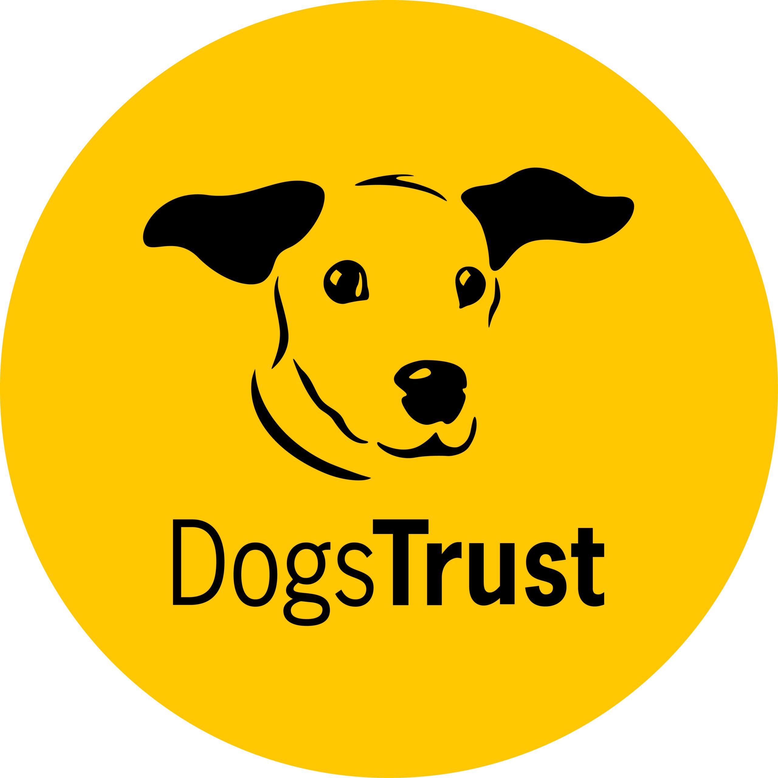 sponser logo