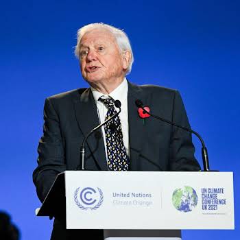 David Attenborough’s impassioned speech at COP26 is a must-watch