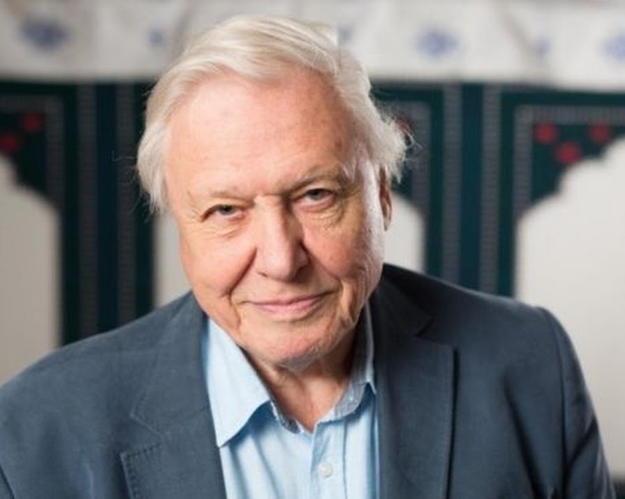 David Attenborough and Netflix team up for new series ‘Our Planet’